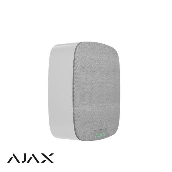 Ajax SpeakerPhone (Voice Module), Wit